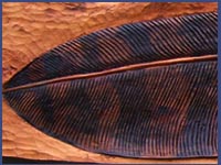 Fossil Feather. Yew. 65 inches long x 13.